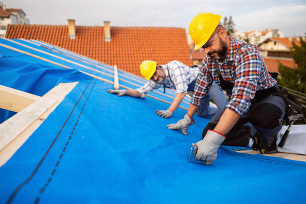 Best Storm Damage Roof Repair  in Merriam, KS